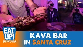 Kava and Kombucha Bar in Downtown Santa Cruz CA [upl. by Cartie]