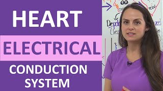 Heart Electrical Conduction System Animation ECG  Cardiac Conduction System Nursing [upl. by Einehpets]