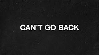 blink182  CANT GO BACK Official Lyric Video [upl. by Daye408]