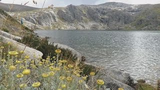 Kosciuszko National Park Main Range Track scenes [upl. by Alit708]