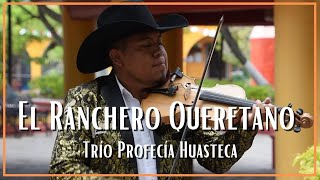 Trío Profecía Huasteca  El Ranchero Queretano [upl. by Assirroc509]