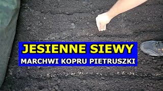 Siewy Jesienią Marchwi Pietruszki Kopru Pasternaku Jak siać Warzywa przed Zimą Polecane Odmiany [upl. by Ahsaela]