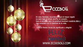 Mensaje de Navidad Ecoosoli [upl. by Nawad]