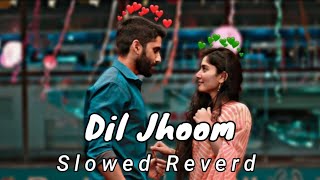 Dil Jhoom  Arijit Singh  Lofi Mix SlowedReverd Lyrics Video [upl. by Anuahc]