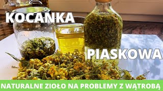 Kocanki piaskowe naturalne zioło na problemy z wątrobą idealna  ratunek dla skóry [upl. by Herve]