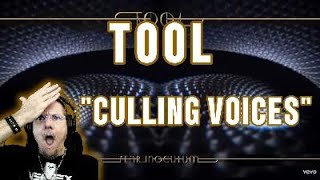 Tool quotCulling Voicesquot Reaction A nice slow burn [upl. by Sone551]