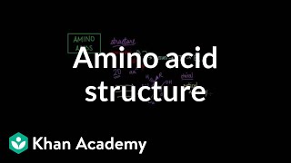 Amino acid structure  Chemical processes  MCAT  Khan Academy [upl. by Miki141]