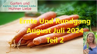 Gartenrundgang und Ernte August und Juli 2024 Teil 2 [upl. by Ahsaeyt]