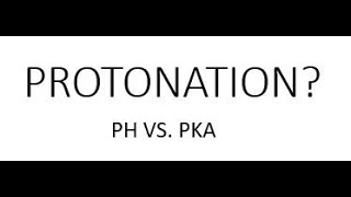 Protonation and Amino Acids PH VS PKA [upl. by Mutz]