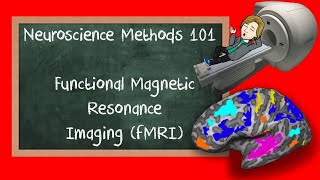 Functional Magnetic Resonance Imaging fMRI explained  Neuroscience Methods 101 [upl. by Speroni655]