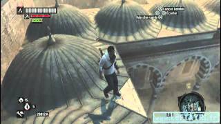 ACR Trophée LAbeille et le Papillon amp PLATINE Trophy Assassins Creed Revelations [upl. by Erual469]