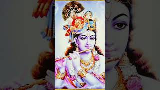 Doha Tule Bol Re Krishna naam shortvideo 🙏🙏 [upl. by Etnuaed907]