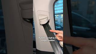 The secret of seat belts that 100 million people don’t know [upl. by Zaid10]