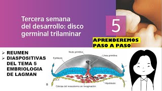 TEMA 5 EMBRIOLOGIA TERCERA SEMANA DEL DESARROLLO DISCO GERMINAL TRILAMINAR [upl. by Zeena268]