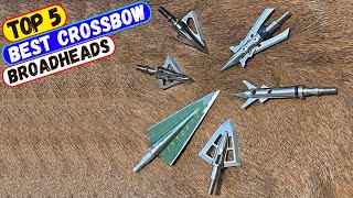 Best Crossbow Broadheads for 2024  Top 5 Crossbow Broadhead Reviews [upl. by Jeno]