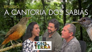 A cantoria dos sabiás [upl. by La]