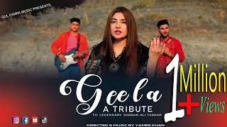 Geela  Pashto Song  Gul Panra New OFFICIAL Pashto Song Geela [upl. by Ferdinana]