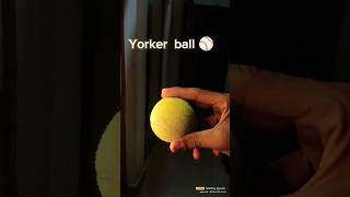 How to bowl a Perfect full Yorker  100 works 2 Tricks cricketpro india yorkerking [upl. by Landmeier]