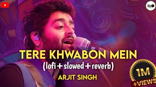 TERE KHWABON MEIN  LofiSlowedReverb  new hindi song  Entertainment Music official [upl. by Anitsihc]