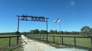 Longhorn Lesters is separating cattle JL Ranch [upl. by Lamarre]