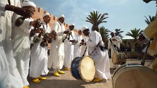 Maroc  lhommage dEssaouira à sa culture gnaoua • FRANCE 24 [upl. by Elmajian]