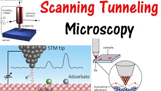 Scanning tunneling microscopy [upl. by Farrah640]