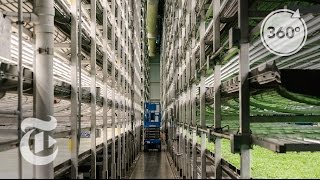 A Vertical Farm Grows In Newark  The Daily 360  The New York Times [upl. by Nollat]