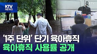 1주 단위 단기 육아휴직 도입…기업 육아휴직 사용률 공개 [upl. by Raddie97]