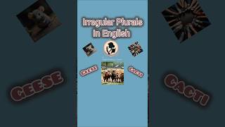 Irregular Plurals in English  singular plural in English  How to make plural in English  shorts 👥 [upl. by Eelanej]