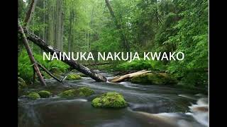 Nainuka  Lyrics  Catholic [upl. by Bidle]