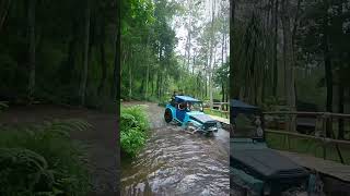 Wisata alam naik jeep di Coban Putri KWB [upl. by Yared]