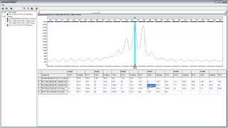 Fragile X Analysis Using GeneMarker® Software [upl. by Leyes881]