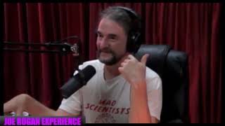 B Damer on JRE The Serpent Mesmerized by Screens amp The Cosmist Ideology [upl. by Luckin435]