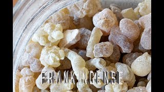 OLIBANUM OIL  FRANKINCENSE  Creating Perfume at Home  Mountain Aromatics [upl. by Ahsir]