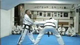 Taekwondo ITF Self Defense [upl. by Mur646]