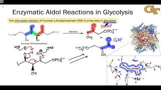 Aldolase Enzymes and the Nitroaldol Reaction [upl. by Daisie]