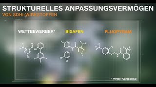 Ascra Xpro  Nachhaltige Krankheitskontrolle [upl. by Haas]