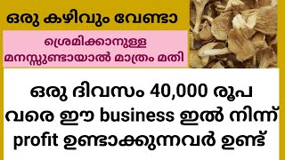 250 രൂപക്ക് തുടങ്ങിയ business ഇന്ന് ദിവസം 40000 രൂപ ലാഭം Business ideas Malayalam [upl. by Merritt]