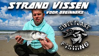 Strand vissen voor beginners  Zeebaars [upl. by Ardeahp562]