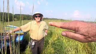 Big Bluestem perennial warm season grass along with Korean lespedeza is a homerun in summer heat [upl. by Bram]