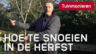 Snoeien in de herfst en winter hoe doe je dat  Snoeien  Tuinmanieren [upl. by Anaynek]