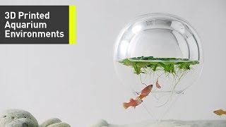 These Minimalist Aquariums Are Filled With Beautiful 3DPrinted Sculptures [upl. by Masry]