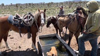 Cattleless Cattle Drive  Your Invited [upl. by Asiole155]