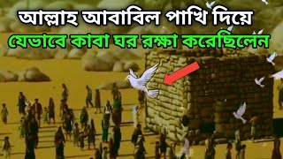 আল্লাহ আবাবিল পাখি দিয়ে যেভাবে পবিত্র কাবা ঘর রক্ষা করেছিলে  ইসলামিক কাহিনী [upl. by Alaster]