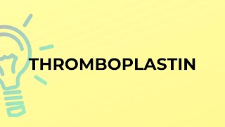 What is the meaning of the word THROMBOPLASTIN [upl. by Kubetz]