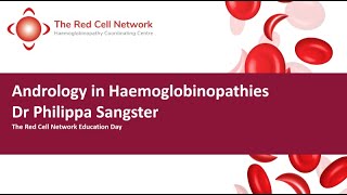 Andrology in Haemoglobinopathies  Dr Philippa Sangster Red Cell Network Education Day [upl. by Leay981]