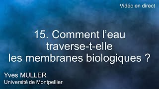 15 Comment l’eau traversetelle les membranes biologiques [upl. by Igenia]