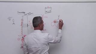 Immunology Lecture 1 Part 3 [upl. by Giovanni]