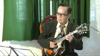 SERENADE  SCHUBERT  TA ANH SIEU MANDOLIN [upl. by Nananne]