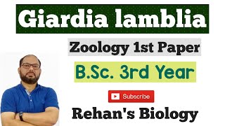 Giardia lamblia जिआर्डिआ लैम्बलिया Giardiasis Grand oldman of intestine Zoology BSc Part3 [upl. by Adihaj]